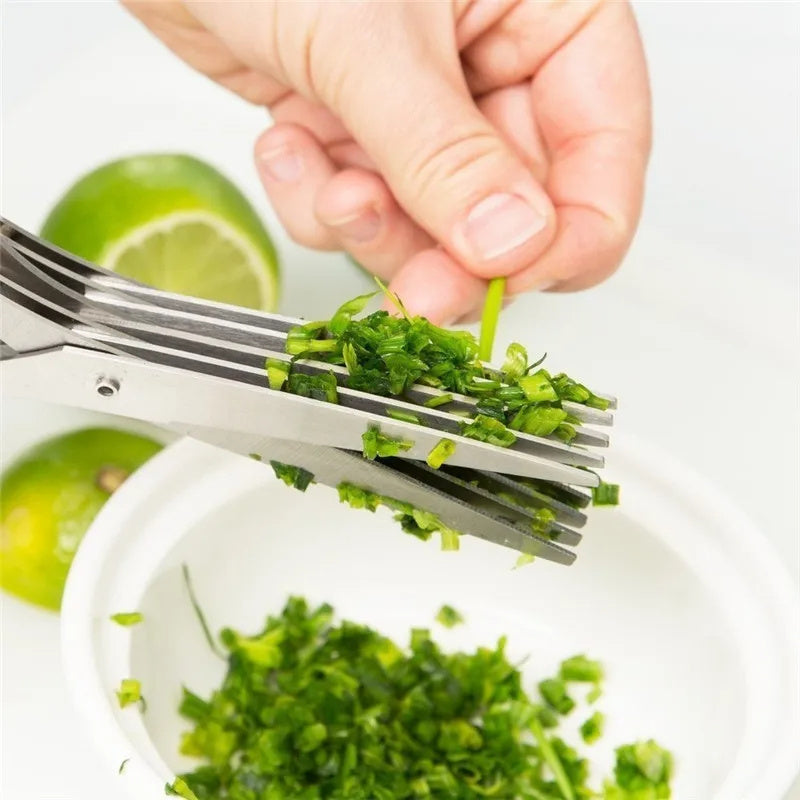 5-Blade Herb Scissors – Stainless Steel Green Onion Cutter for Herbs, Seaweed & Spices | Multipurpose Kitchen Gadget