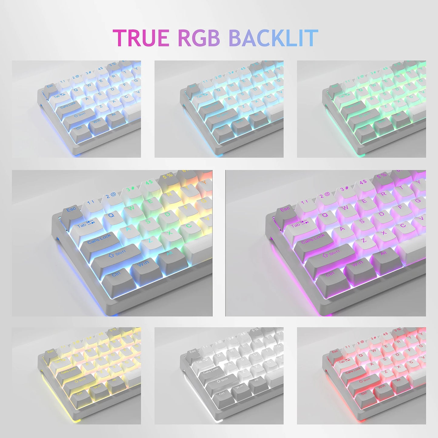 AULA F3261 RGB Mini Mechanical Gaming Keyboard – 61 Keys, Red Switch, USB-C Wired, Mac/Windows Compatible